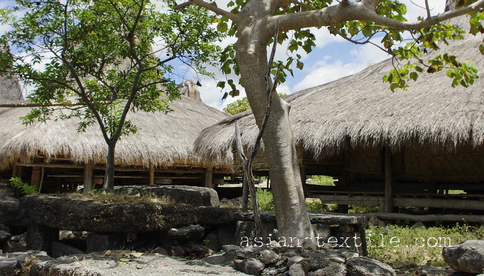 スンバ島の伝統村の首架
